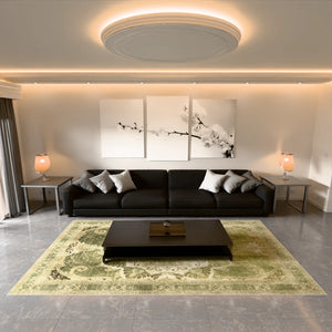 Lighty Green –  Persian Rug